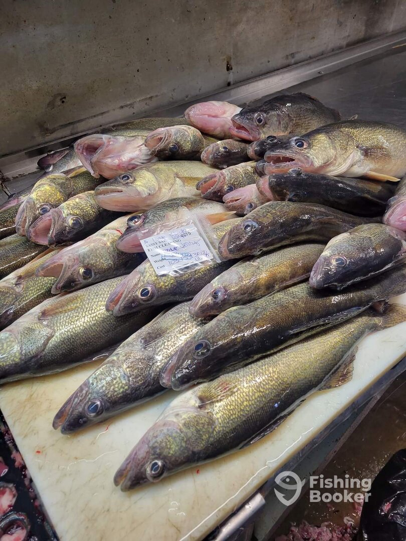 Port Clinton Report Photo 0