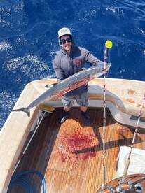 Dania Beach Report Photo 1