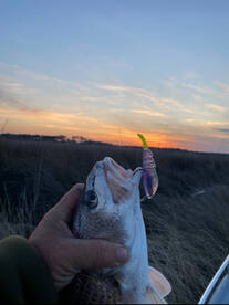 Spring fishing starting to warm up! 