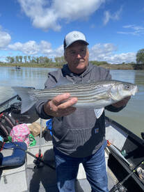 Redding Report Photo 2