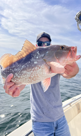 Grouper Bite is Hot!!! Mackerel is hot!!