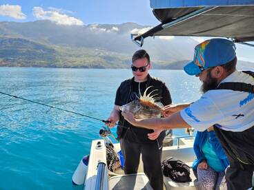 Budva Report Photo 1