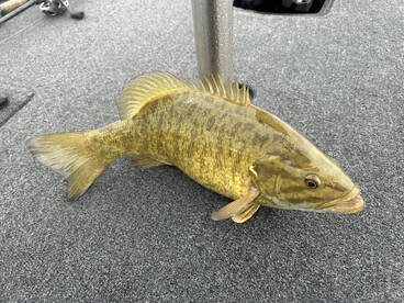 Even the smallies want a trip