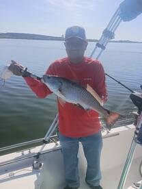 Redfish from Calaveras Lake
