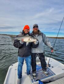 Spring is in the air ! 