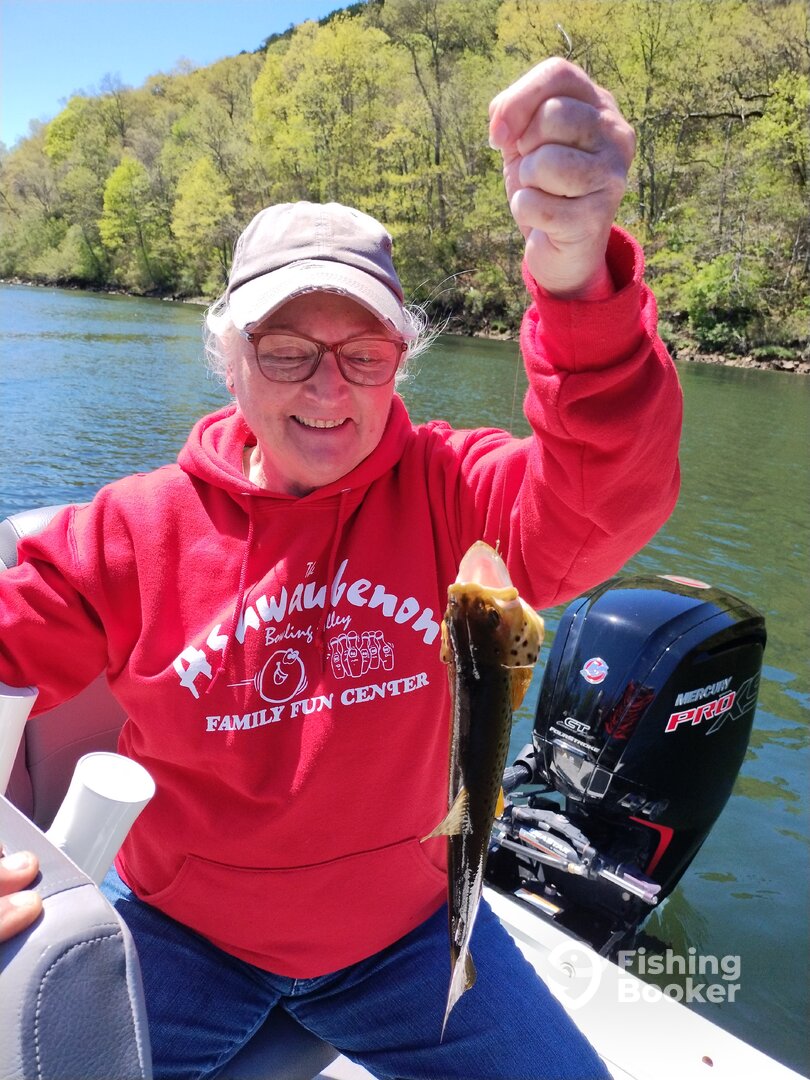 Branson Report Photo 0