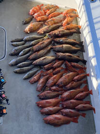 San Diego Report Photo 2