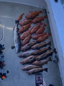 San Diego Report Photo 1