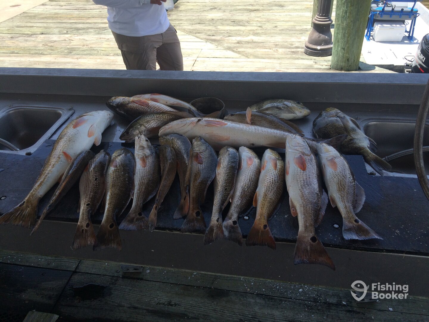 Lake Charles Report Photo 0