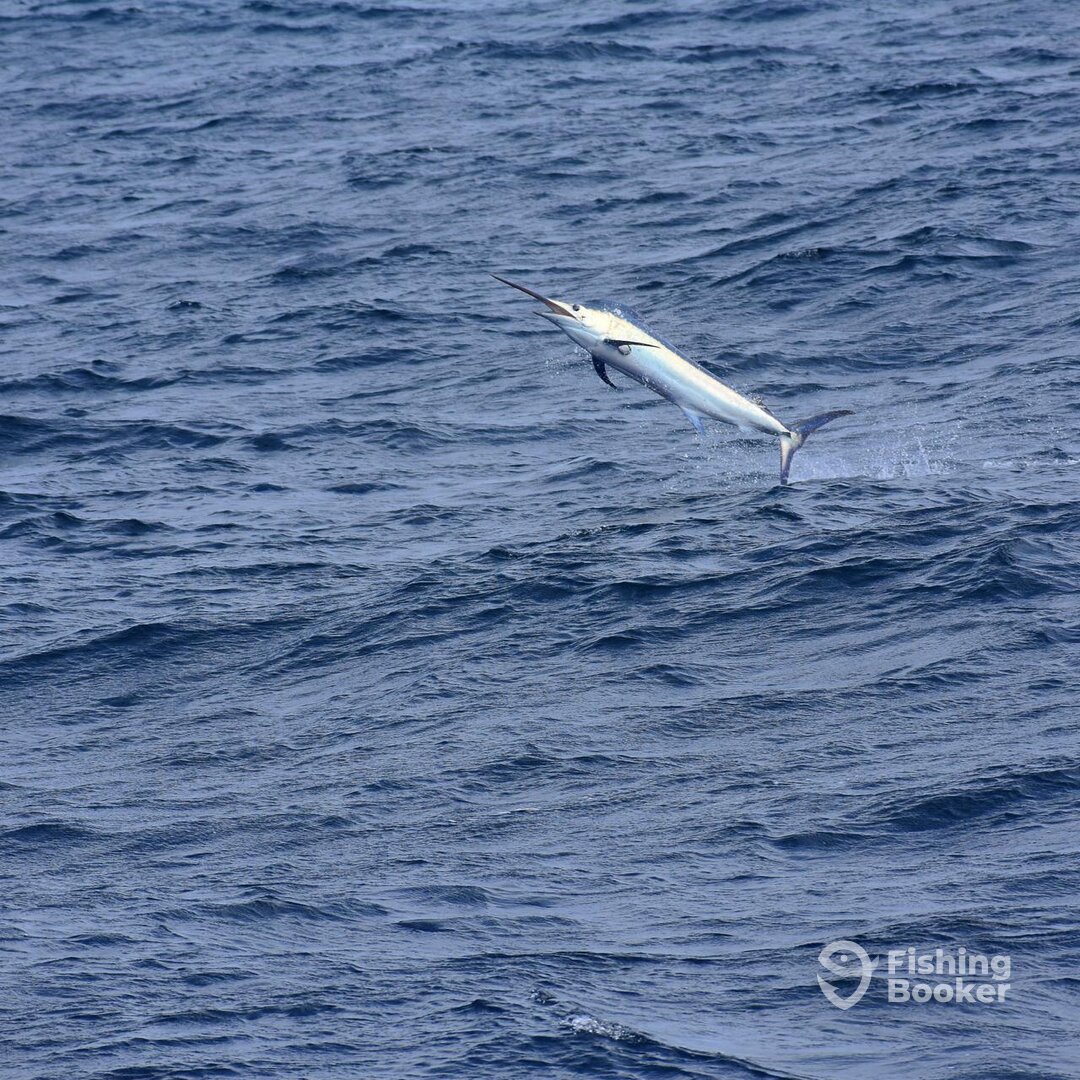 Puerto Baquerizo Moreno Report Photo 0