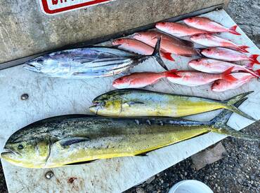 Port Orange Report Photo 2