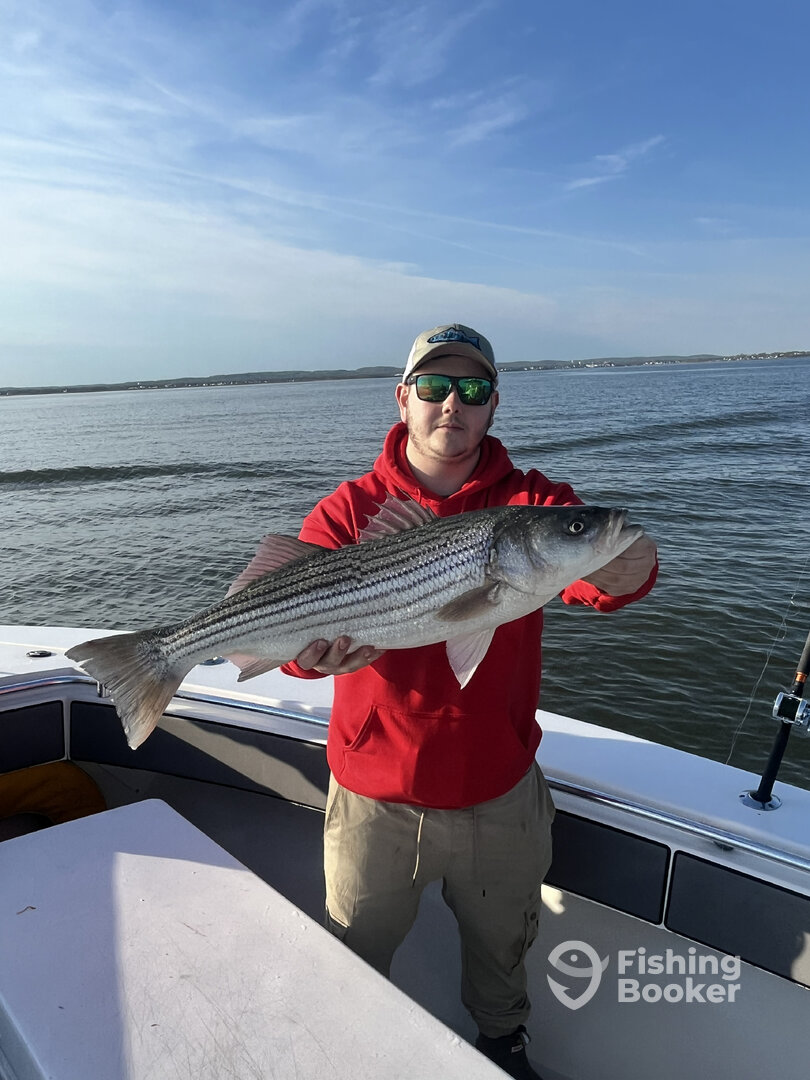 Highlands Report Photo 0