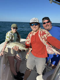 Gag Grouper Bittting