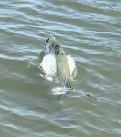 Spring has Sprung, check out the single,