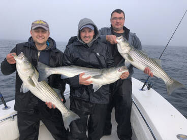 Everyday getting better 