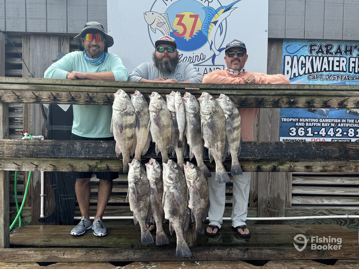 Corpus Christi Report Photo 0