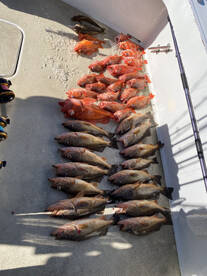 San Diego Report Photo 2