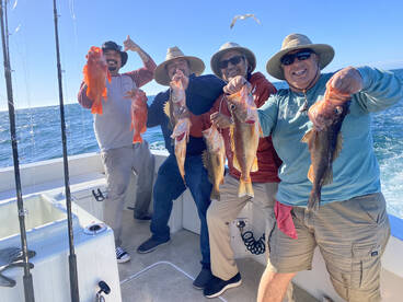 San Diego Report Photo 1