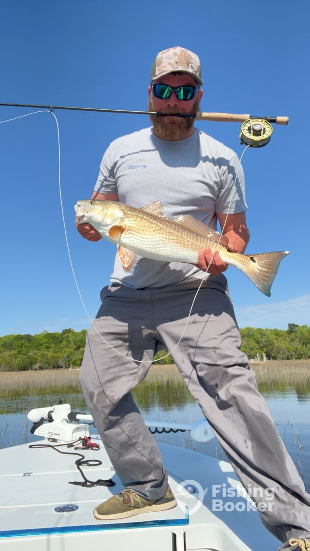 Beaufort Report Photo 0