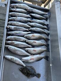 Midway Report Photo 1