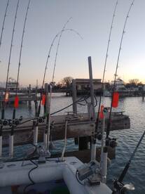 Coho fishing on fire today 