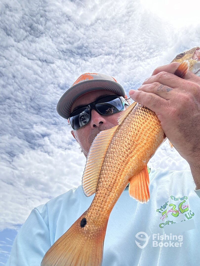 Panacea Report Photo 0