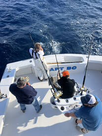 Nags Head Report Photo 1