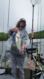 Harrison Report Photo 1