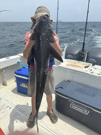 Cobia are here