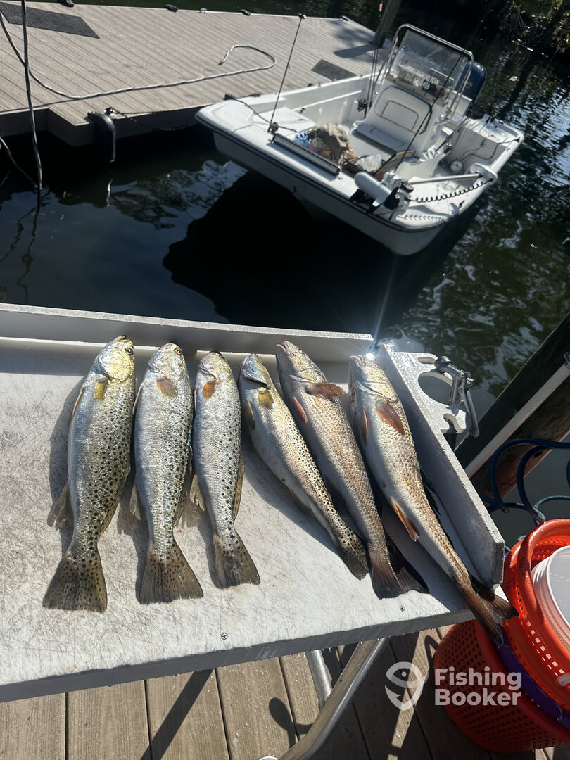 West Palm Beach Report Photo 0