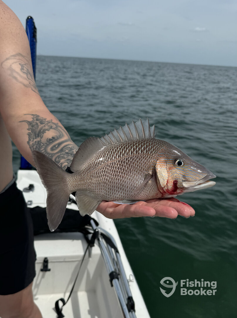 West Palm Beach Report Photo 0