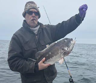 Longport Report Photo 2