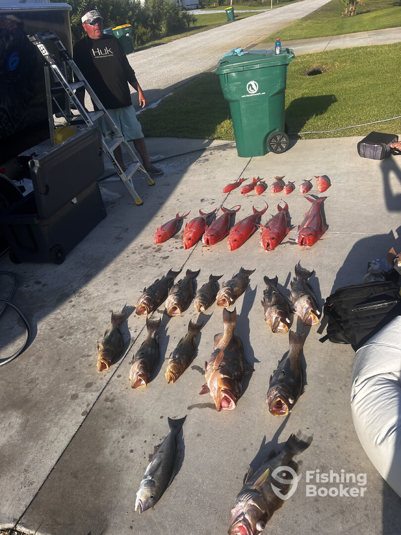 Port Charlotte Report Photo 0