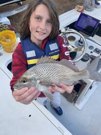 What in the is that? Nice Sailors' Choice!