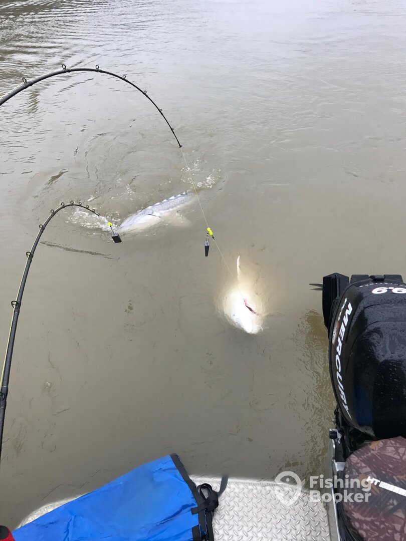 Chilliwack Report Photo 0