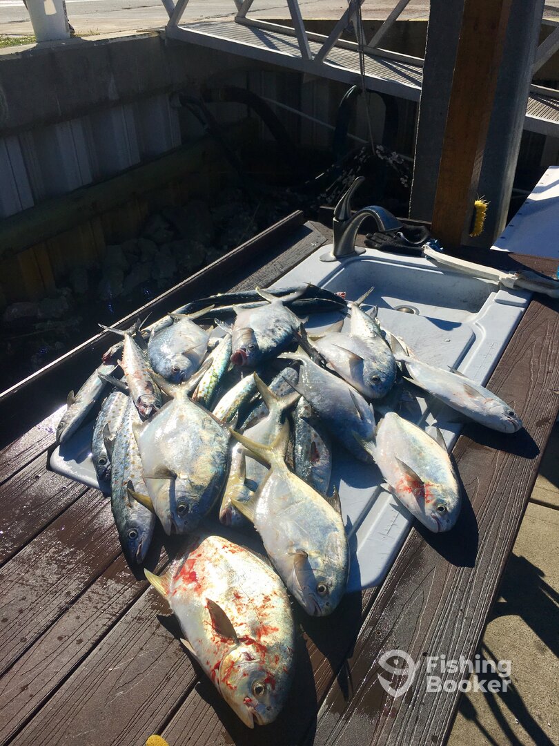 Destin Report Photo 0