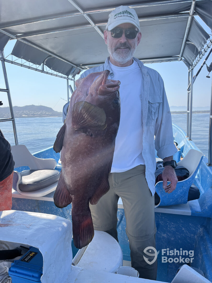 Sayulita Report Photo 0