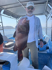 6 kilogram vacalao fish in front of sayu