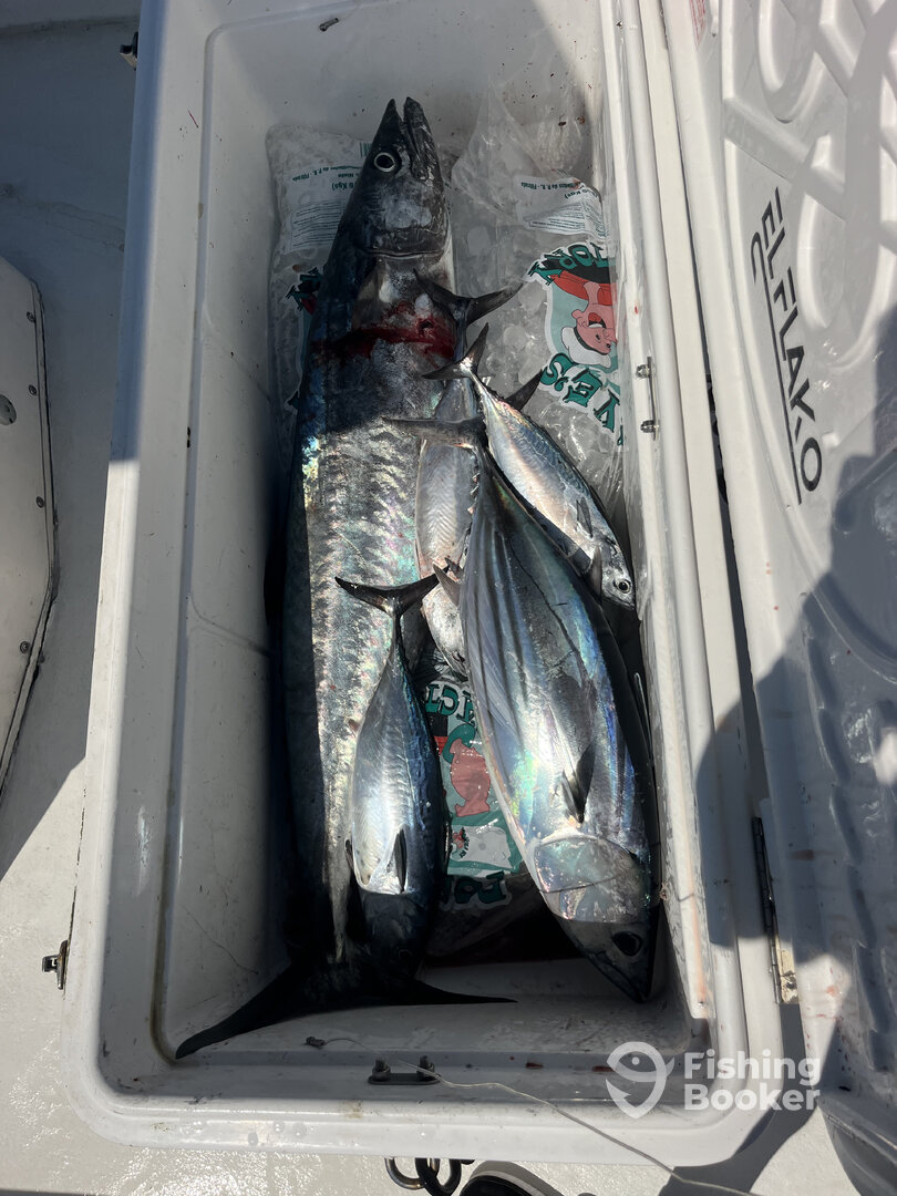 San Juan Report Photo 0