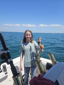 Belleair Bluffs Report Photo 1