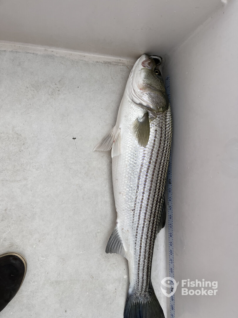 Highlands Report Photo 0