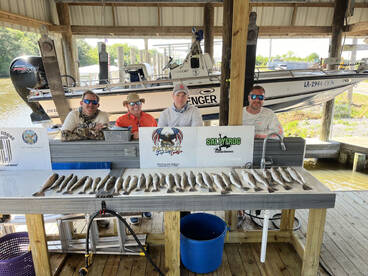 St. Bernard Report Photo 1