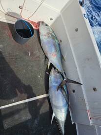 Nice BigGame afternoon.