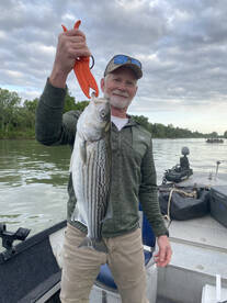 Redding Report Photo 1