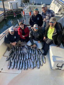 Spring Coho ran at North Point Marina, W