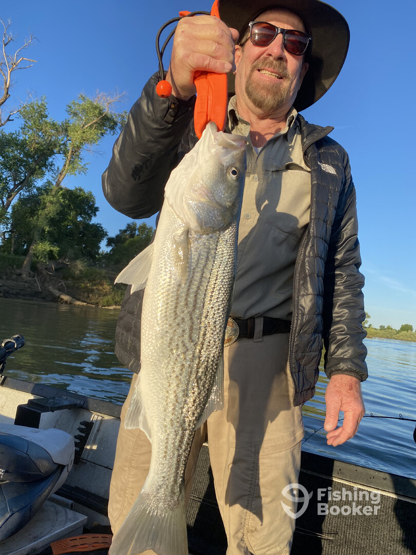 Redding Report Photo 0