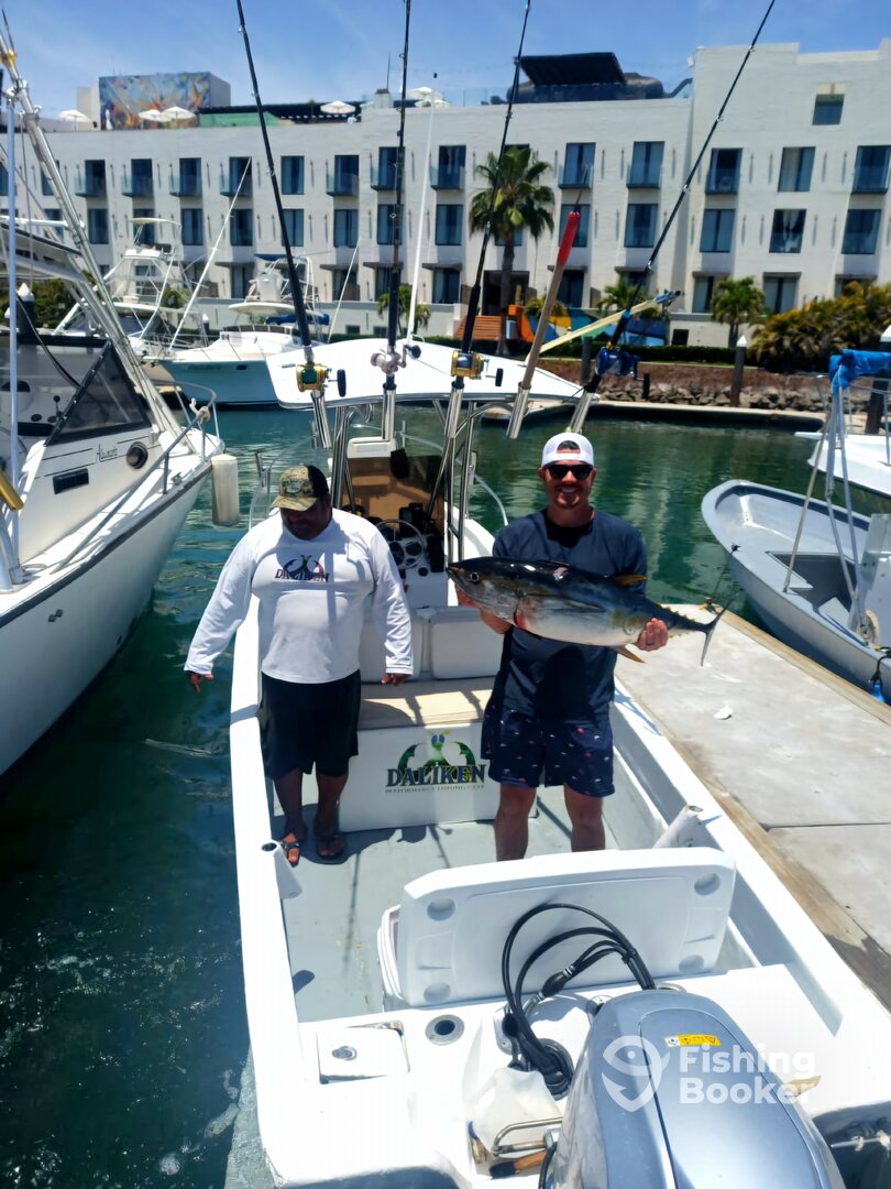 San Jose del Cabo Report Photo 0