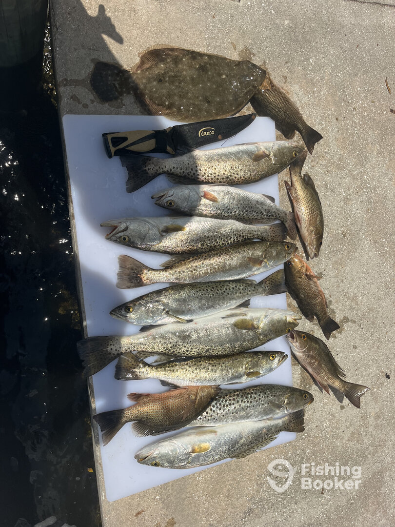 Fort Myers Report Photo 0