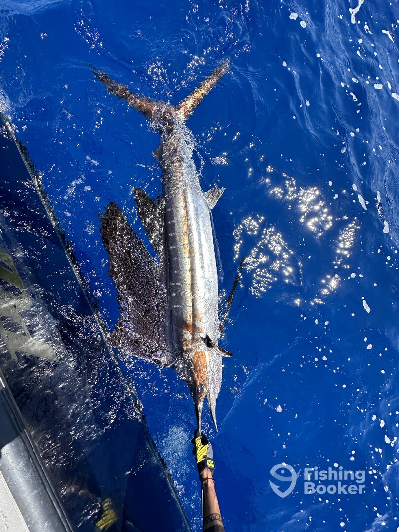 Boynton Beach Report Photo 0