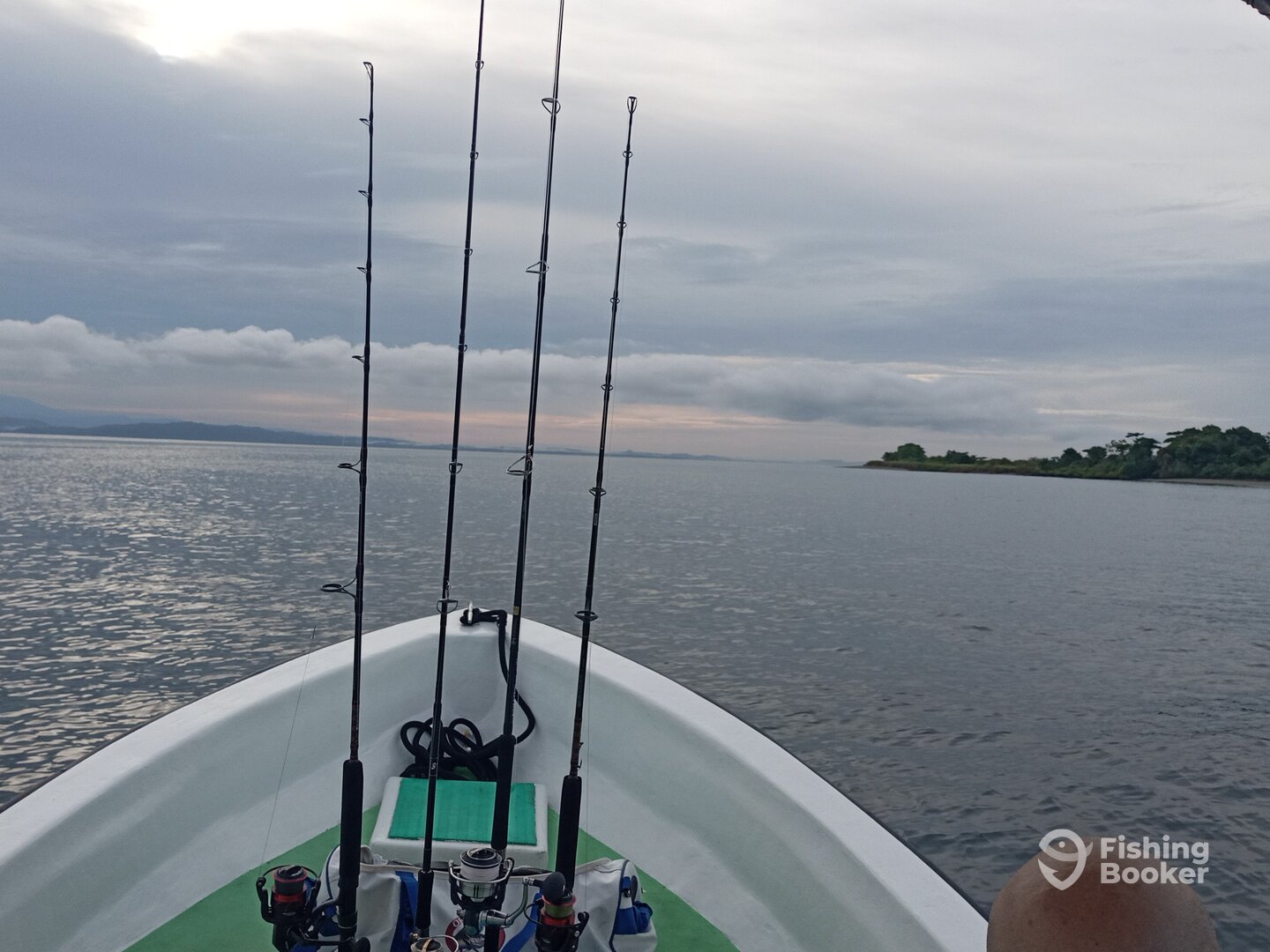 Puerto Jiménez Report Photo 0